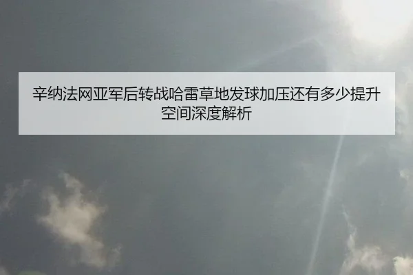 xin-na-fa-wang-ya-jun-hou-zhuan-zhan-ha-lei-cao-di-fa-qiu-jia-ya-hai-you-duo-shao-ti-sheng-kong-jian-shen-du-jie-xi-2-493.jpg